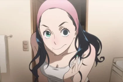 My hero academia: vigilantes
