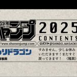 Ruridragon, il manga si ferma