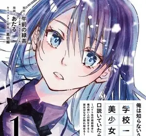 Falling for her secret side, termina il manga