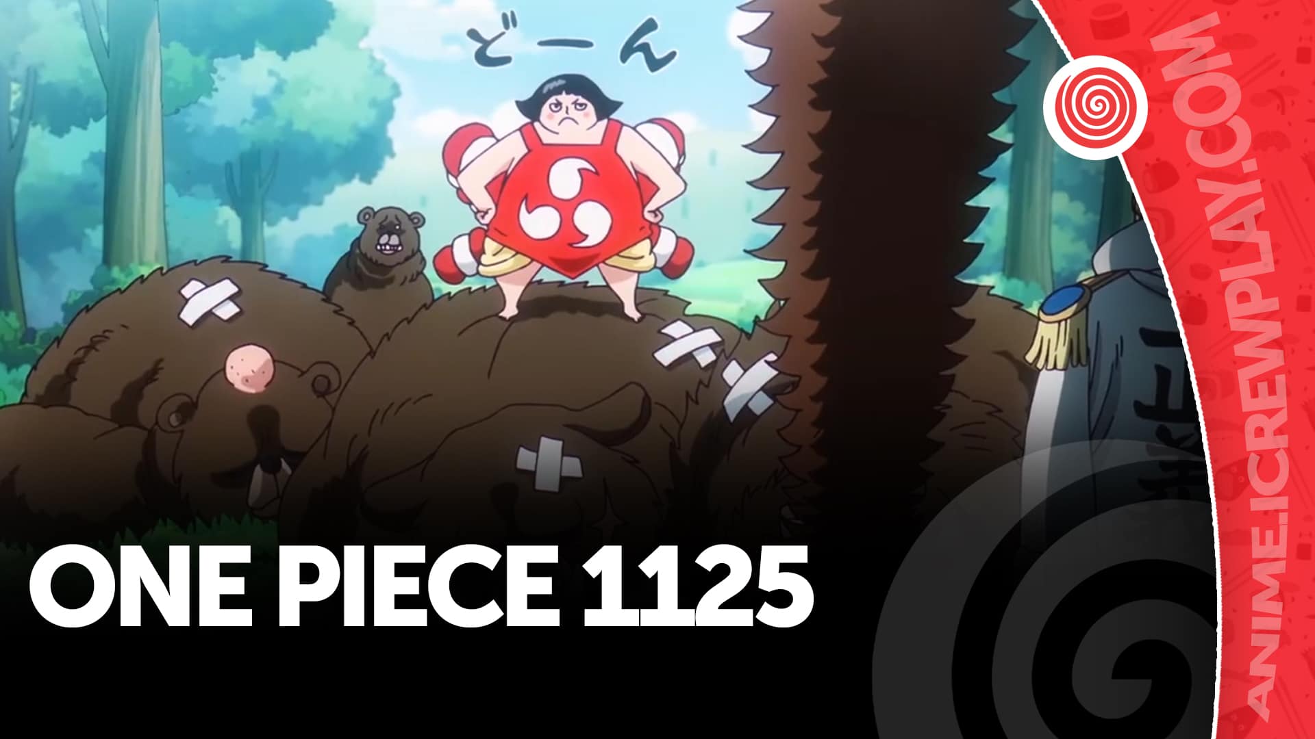 One piece 1125, la nostra recensione
