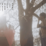 5 centimeters per second, non perdere il nuovo trailer