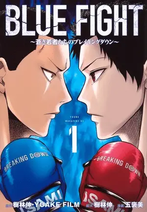Blue fight, termina il manga