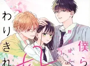 Bokura no suki wa warikirenai, termina il manga