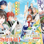 Engage for princess e makikomarete shōkan sareta genkai ol, iniziate le serie