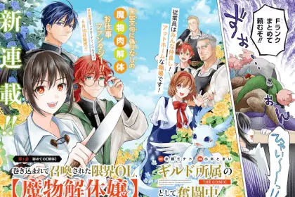 Engage for princess e makikomarete shōkan sareta genkai ol, iniziate le serie