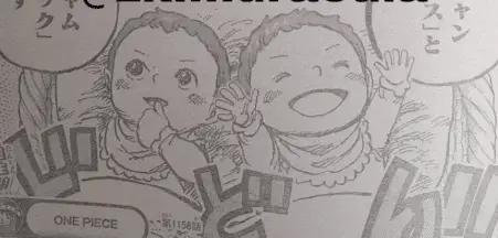 One piece capitolo 1158 spoiler: svelato il mistero dei gemelli! One piece capitolo 1158 spoiler: svelato il mistero dei gemelli!