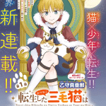 Tensei shita mikeneko wa ōji to gyokuza no yume o miru e jukai, iniziate le serie