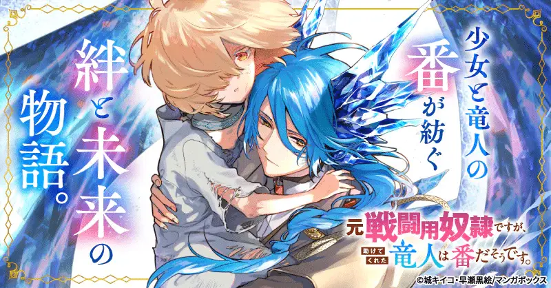 Kirakira no kowashi-kata e moto sentō-yō doreidesuga, iniziate le serie