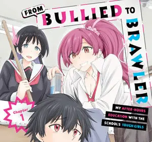 From bullied to brawler, terminail manga