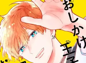 Double the trouble, twice as nice, termina il manga