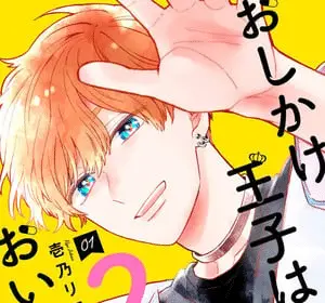 Double the trouble, twice as nice, termina il manga