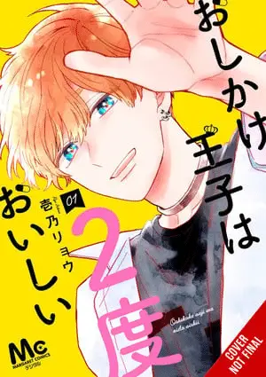 Double the Trouble, Twice as Nice, termina il manga