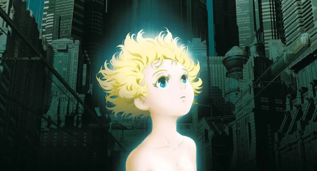 Metropolis icrew sconto
