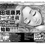 Candy box creations, terminato il manga
