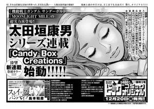 Candy box creations, terminato il manga