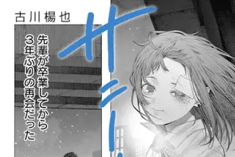 Sunnyside e neko no niya, iniziate le serie