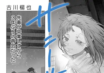 Sunnyside e neko no niya, iniziate le serie