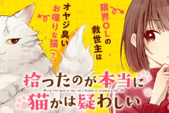 Kanjō knock out e hirotta no ga hontōni neko ka wa utagawashī, iniziate le serie