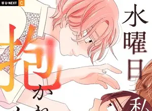 Suiyōbi, watashi no otto ni dakarete kudasai ottiene un live action