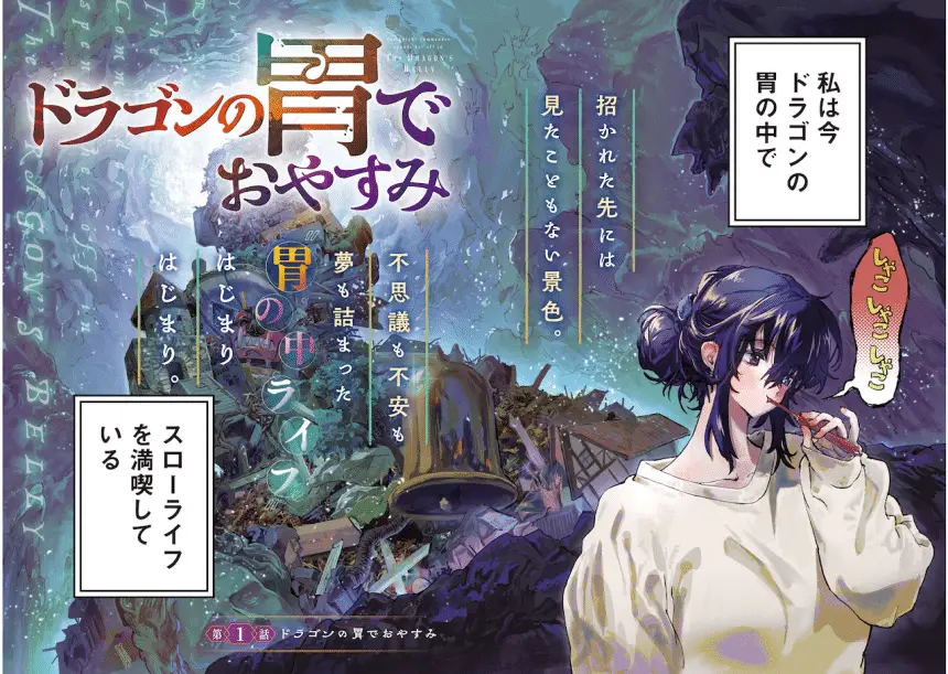 Dragon no i de oyasumi e omae ga yattandaro! , iniziate le serie