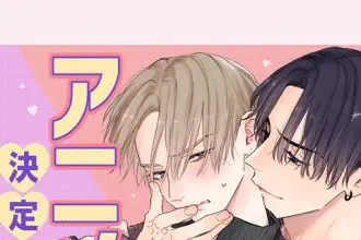 Perfect addiction ottiene un anime leggero