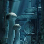 Fungus and iron ottiene un anime