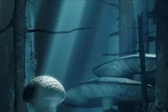 Fungus and iron ottiene un anime