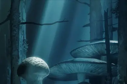 Fungus and iron ottiene un anime