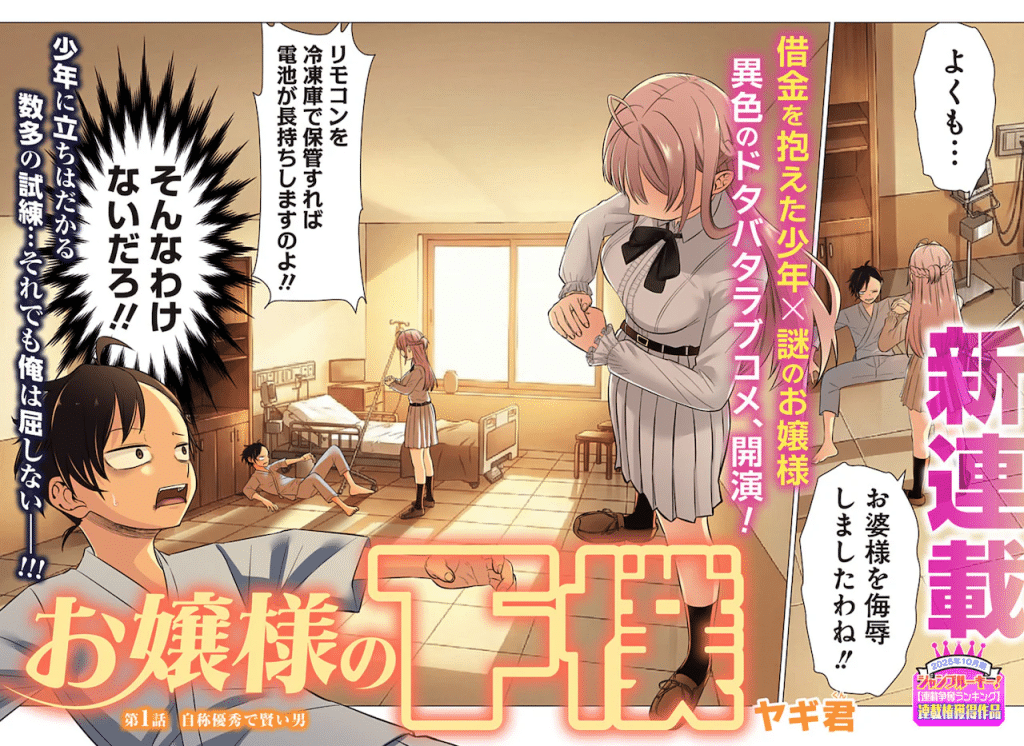Ojōsama no geboku e Kakuriki, iniziate le serie