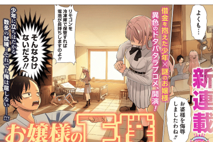 Ojōsama no geboku e Kakuriki, iniziate le serie
