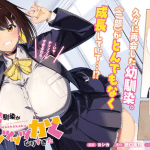 Kiwamete kenzenna bishōjo level up, uchi no maid ga class no suki na ko ni niteiru e ore no osananajimi ga, iniziate le serie