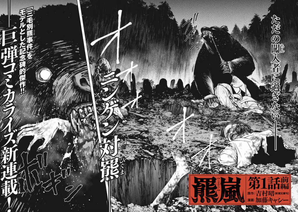 Doron e Higuma Arashi, iniziate le serie