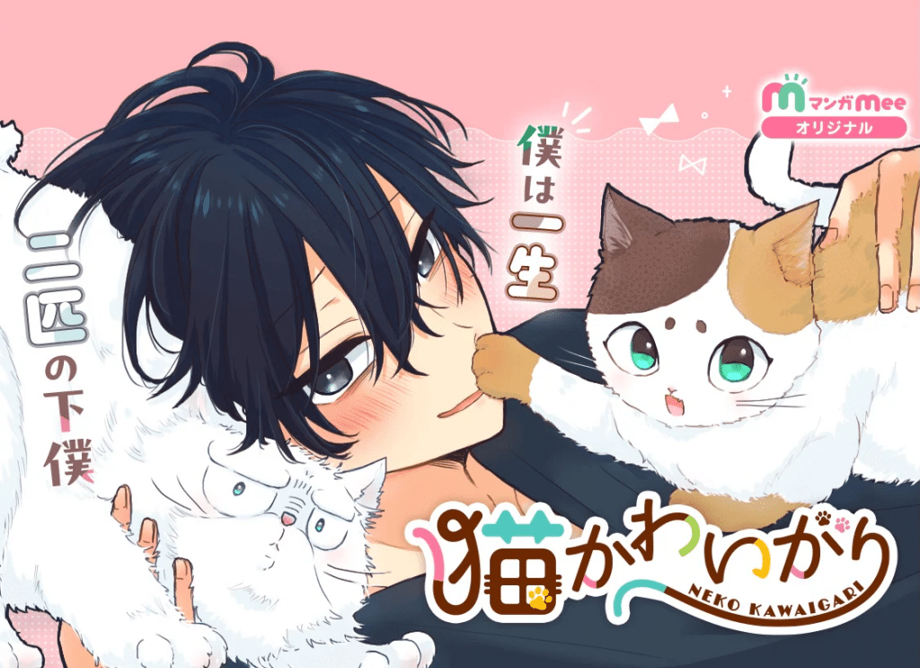 Neko kawaigari e Kanan no shiro, iniziate le serie