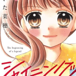 Shining! , termina il manga