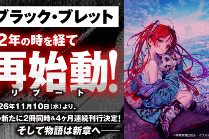 Black bullet reboot project