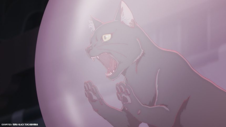 Black torch finale: jiro e rago contro amagi