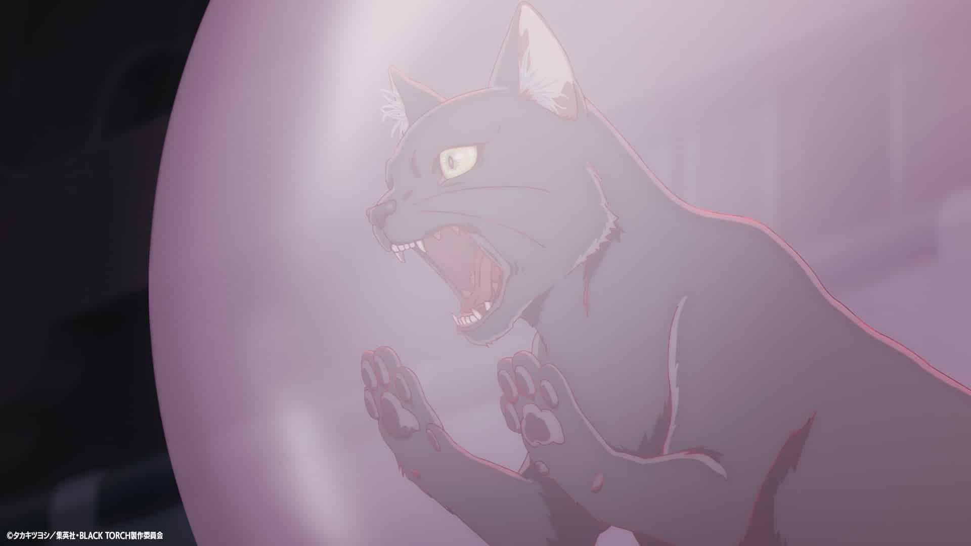 Black torch: finale spiegato, cosa succede a jiro, rago e amagi