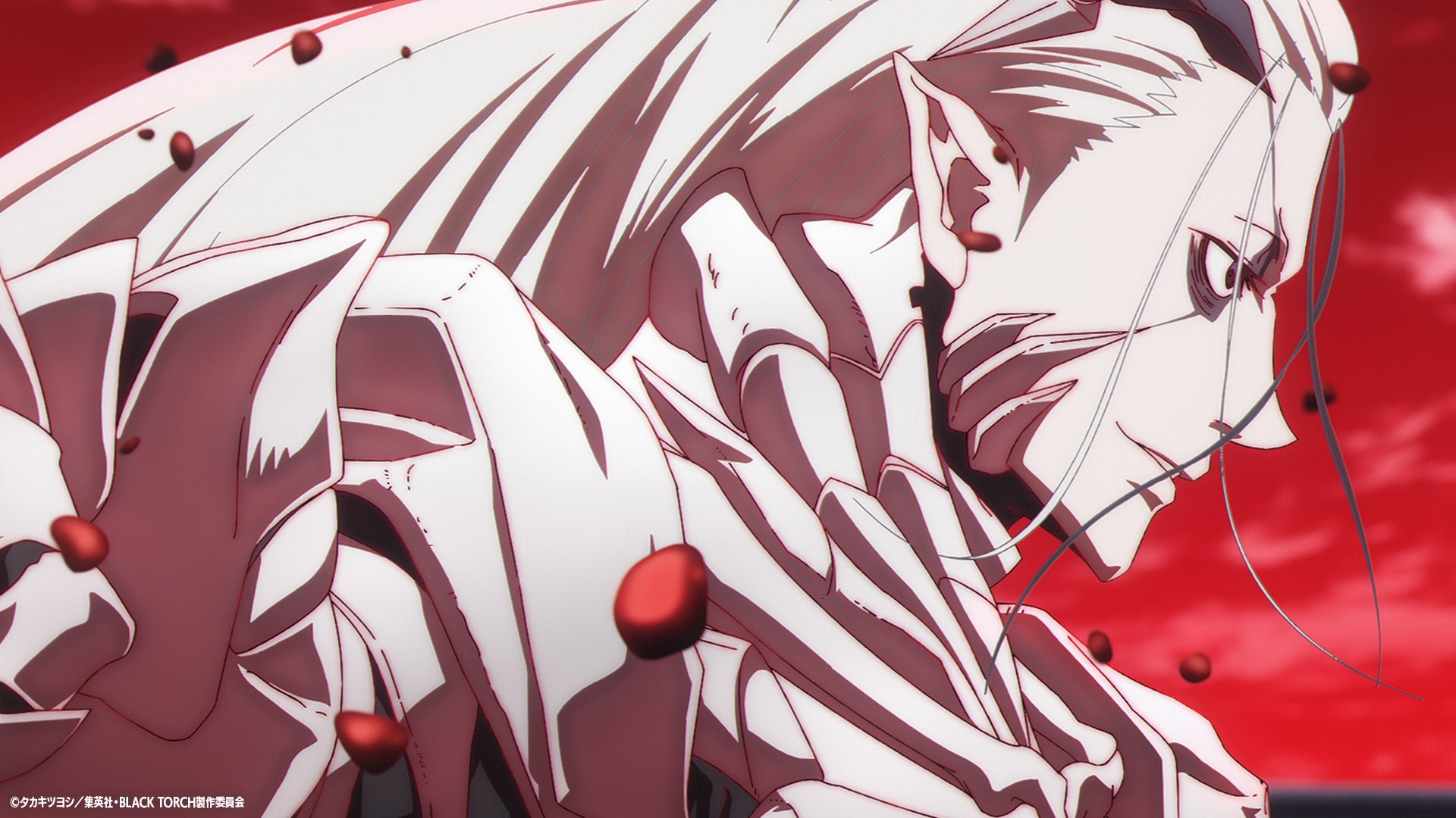 Black torch: finale spiegato, cosa succede a jiro, rago e amagi Jiro e rago nel finale di black torch