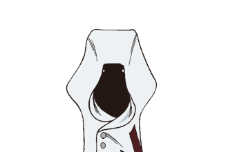 Jugram haschwalth in bleach thousand-year blood war, potere the balance