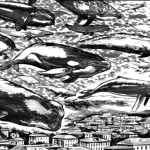 Nuove indagini per toni bellasalma