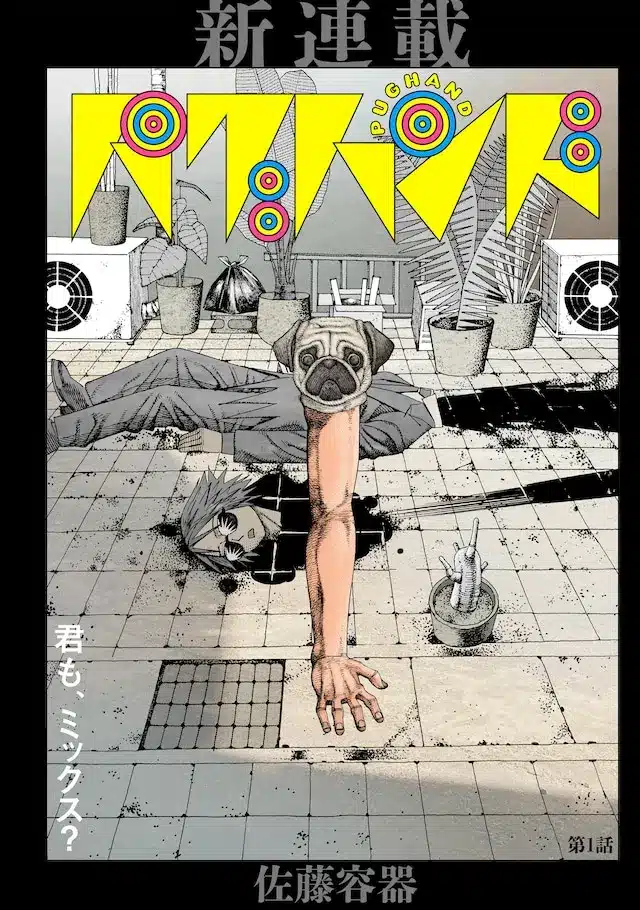 Watashi ga seijo-sama o koroshimashita e pug hand, iniziate le serie