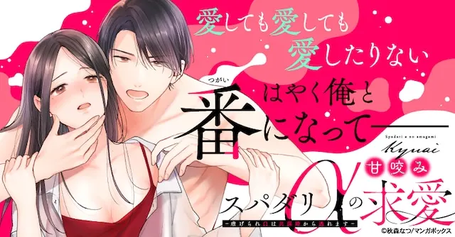 Supadari α no ama kami kyūai e maboroshi no natsume-kun, iniziate le serie